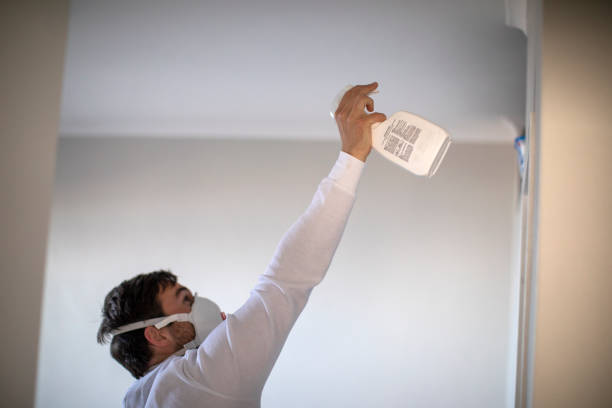 Best Water Damage Restoration  in Quincy, WA