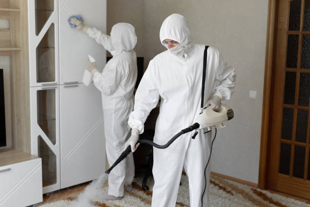 Best Residential Mold Removal  in Quincy, WA