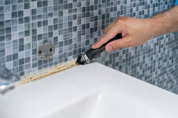 Best Mold Remediation  in Quincy, WA